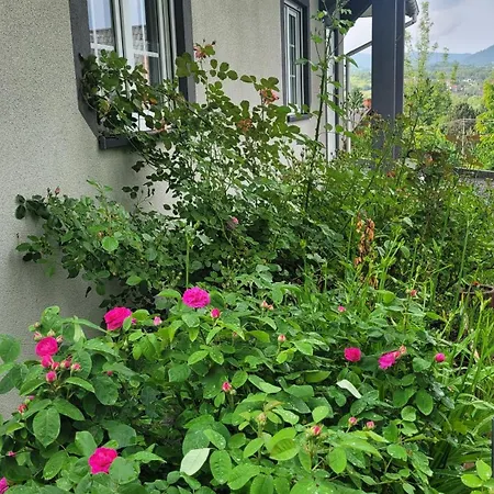 Dom Nad Jeziorem Oblasek