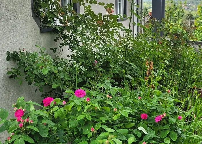 Dom Nad Jeziorem Oblasek